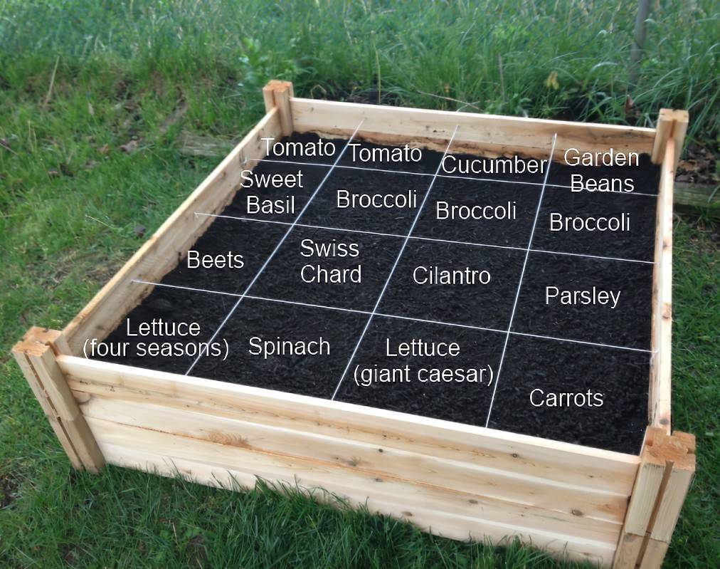 Square Foot Gardening Template Vegetable Garden Raised Beds Raised