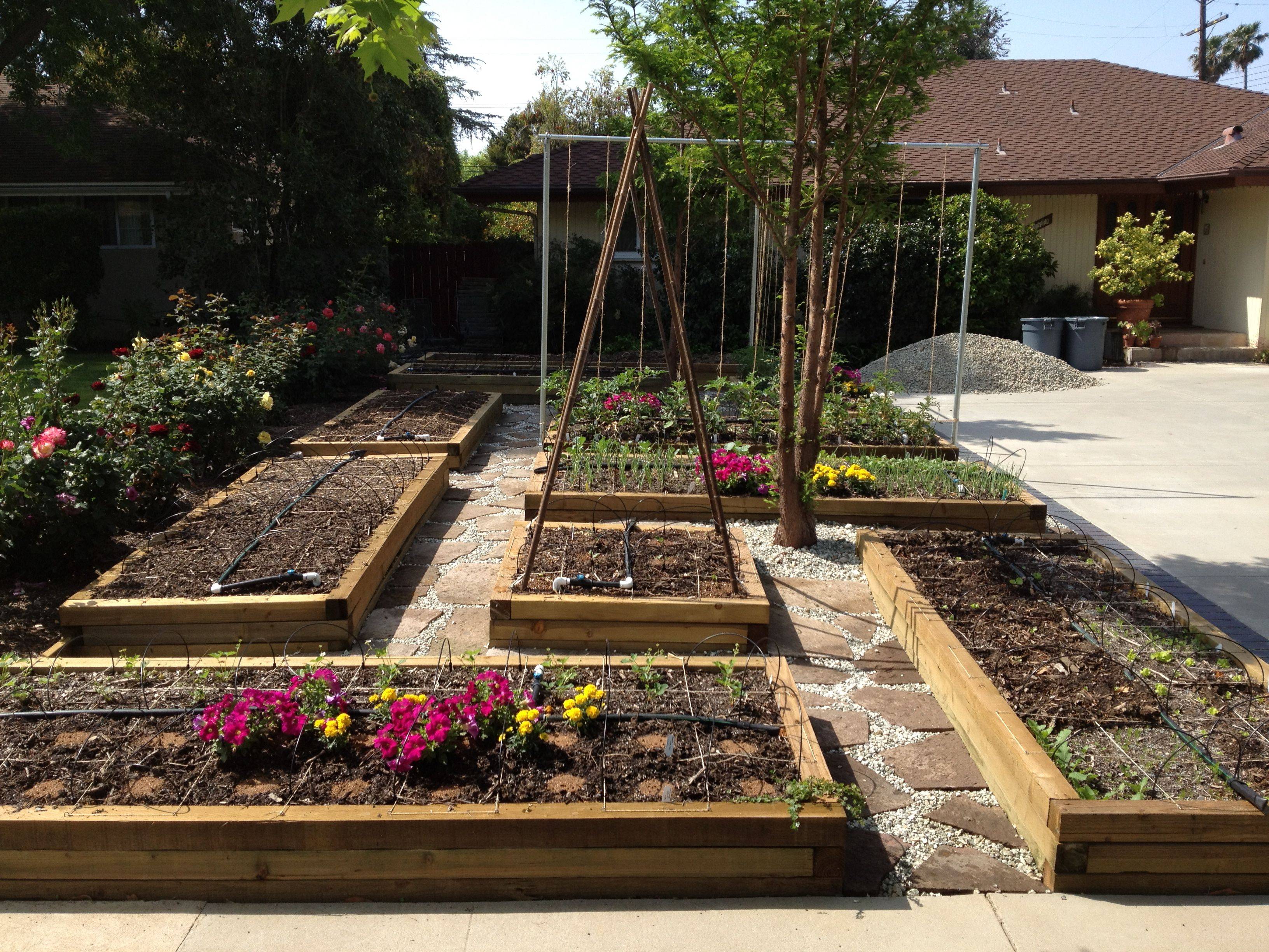 Square Foot Gardening