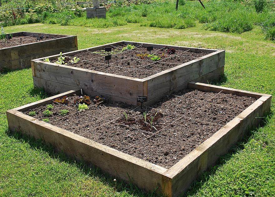 Square Foot Garden Technique