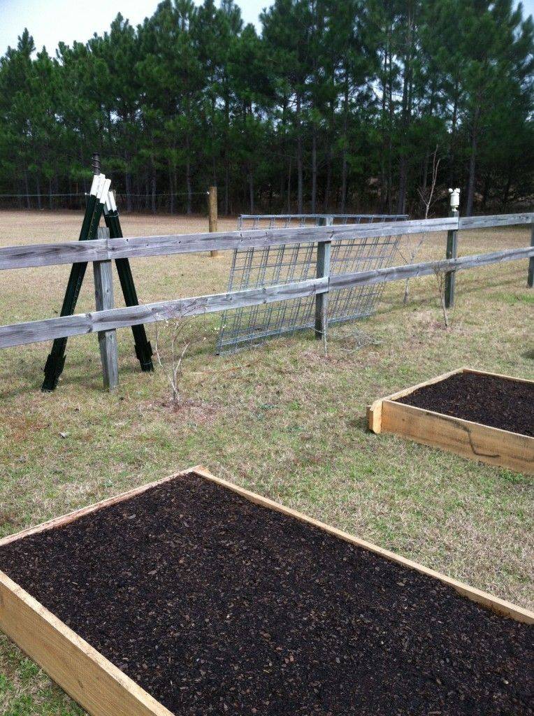 A Raised Bed Garden