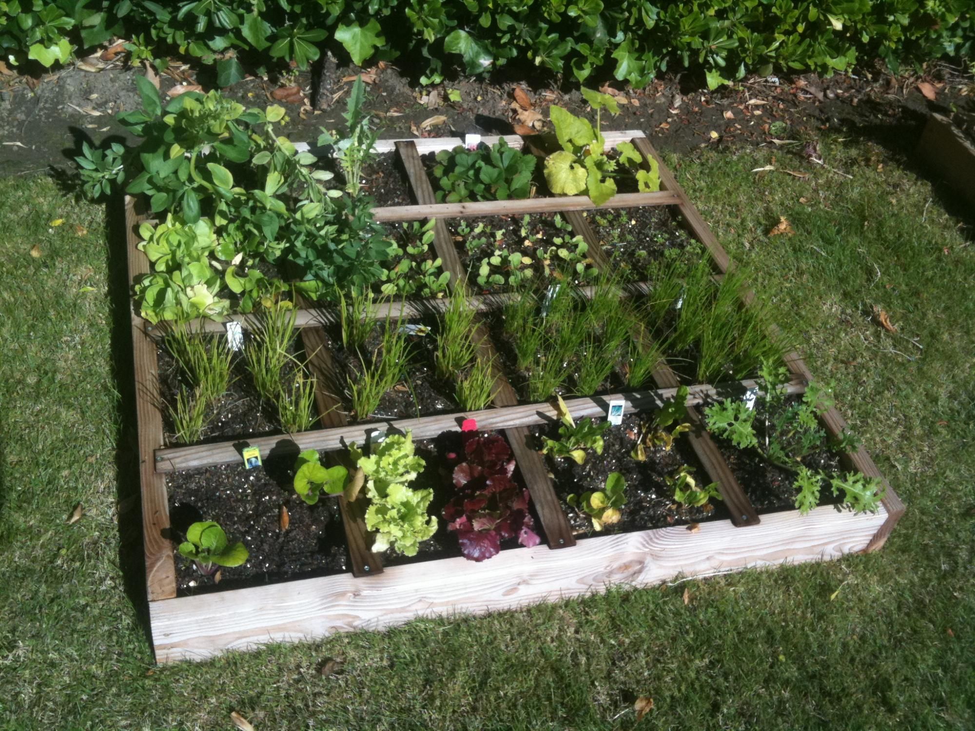 Tee Small Vegetable Gardens
