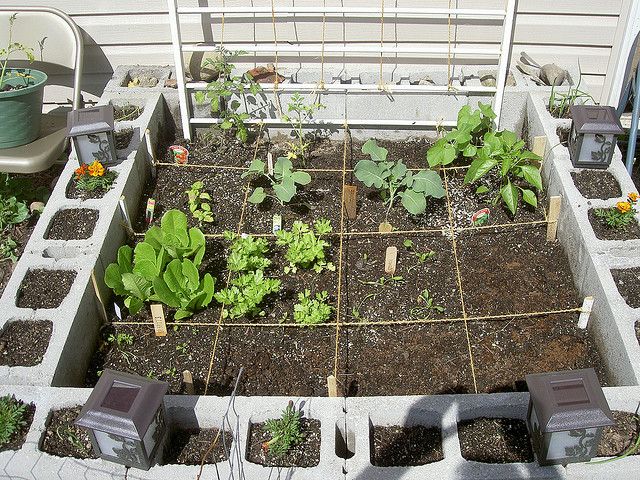 Square Foot Gardening Success