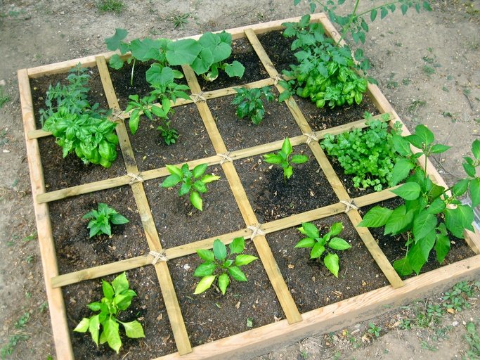 A Square Foot Garden