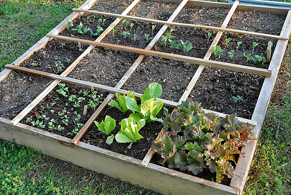Square Foot Gardening Grid Gardening Introduction