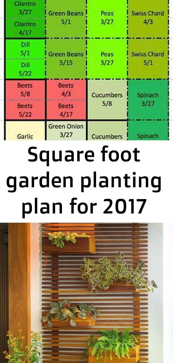 Rectangular Companion Planting Garden Layout Garden Layout