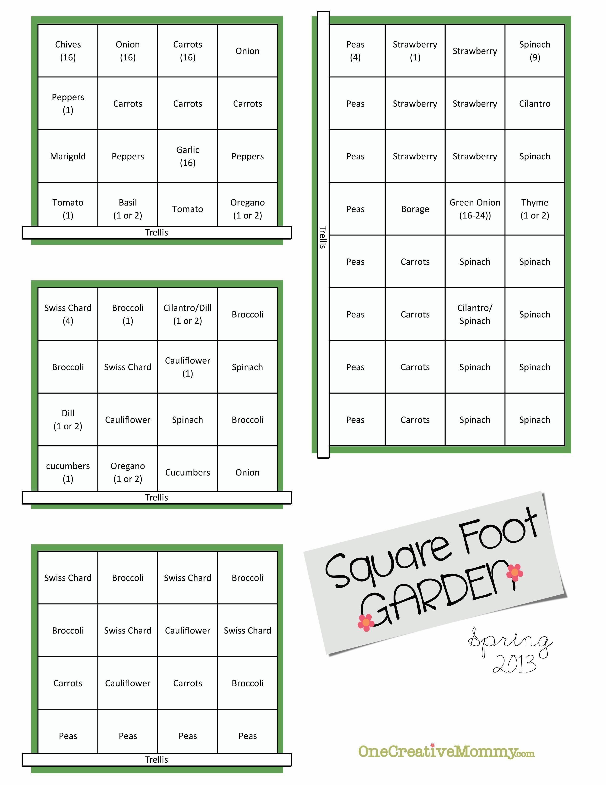 Square Foot Planting Guide Planting Guide