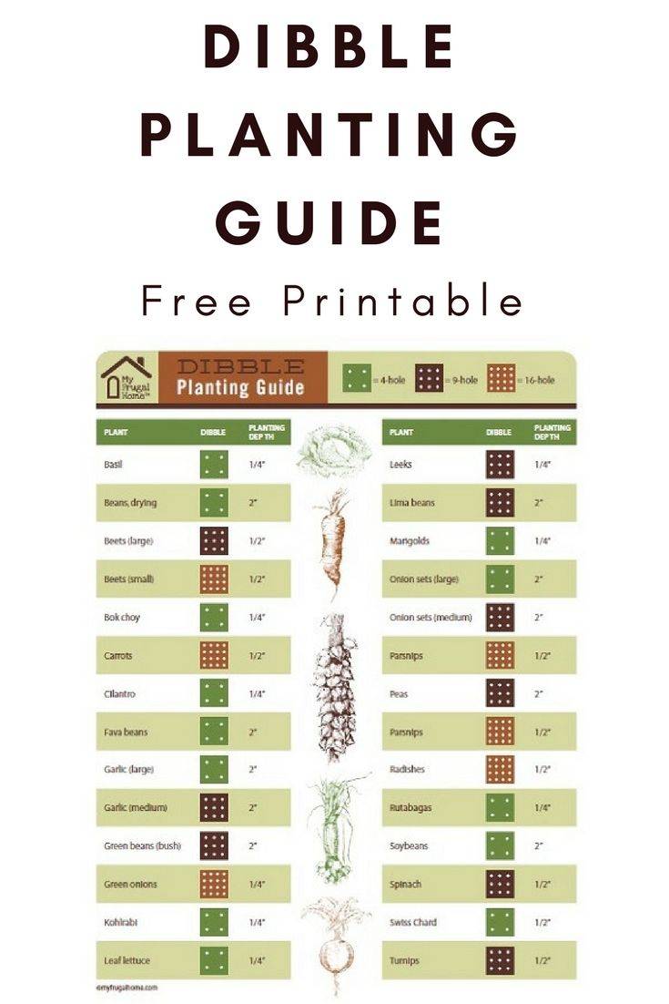 Square Foot Planting Guide