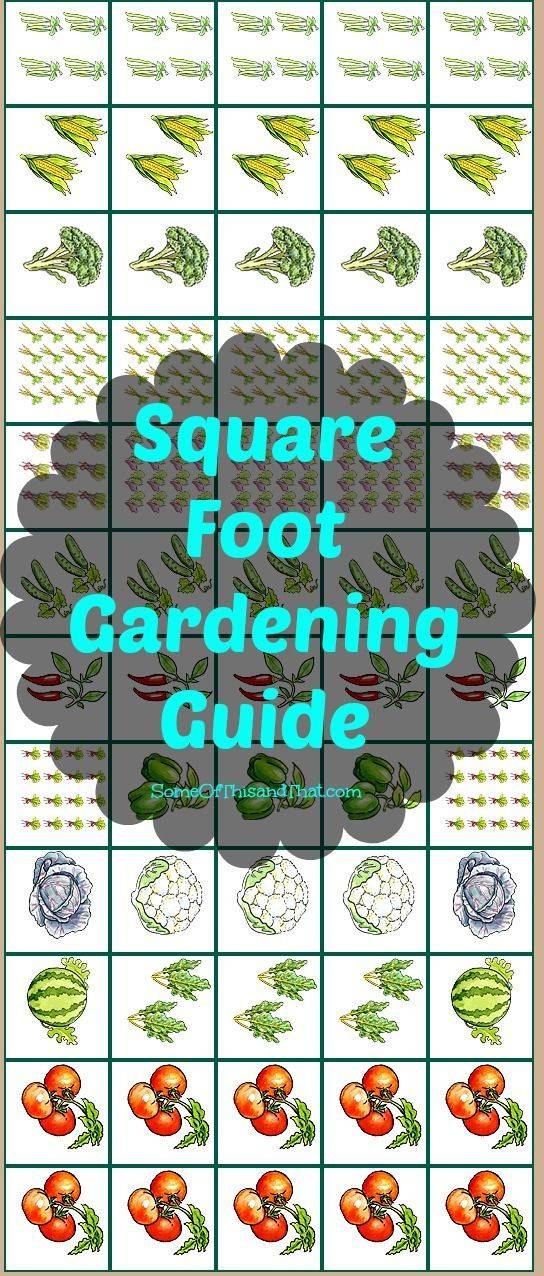 Vegetable Garden Spacing