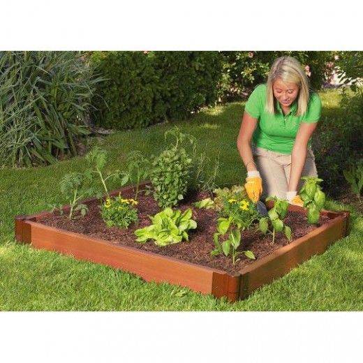 Square Foot Gardening Vegetable
