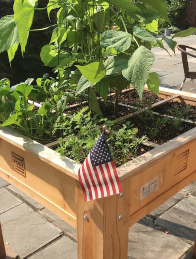 The Square Foot Gardening