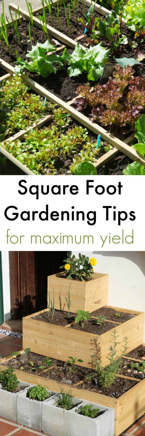 Square Foot Gardening Planning Home