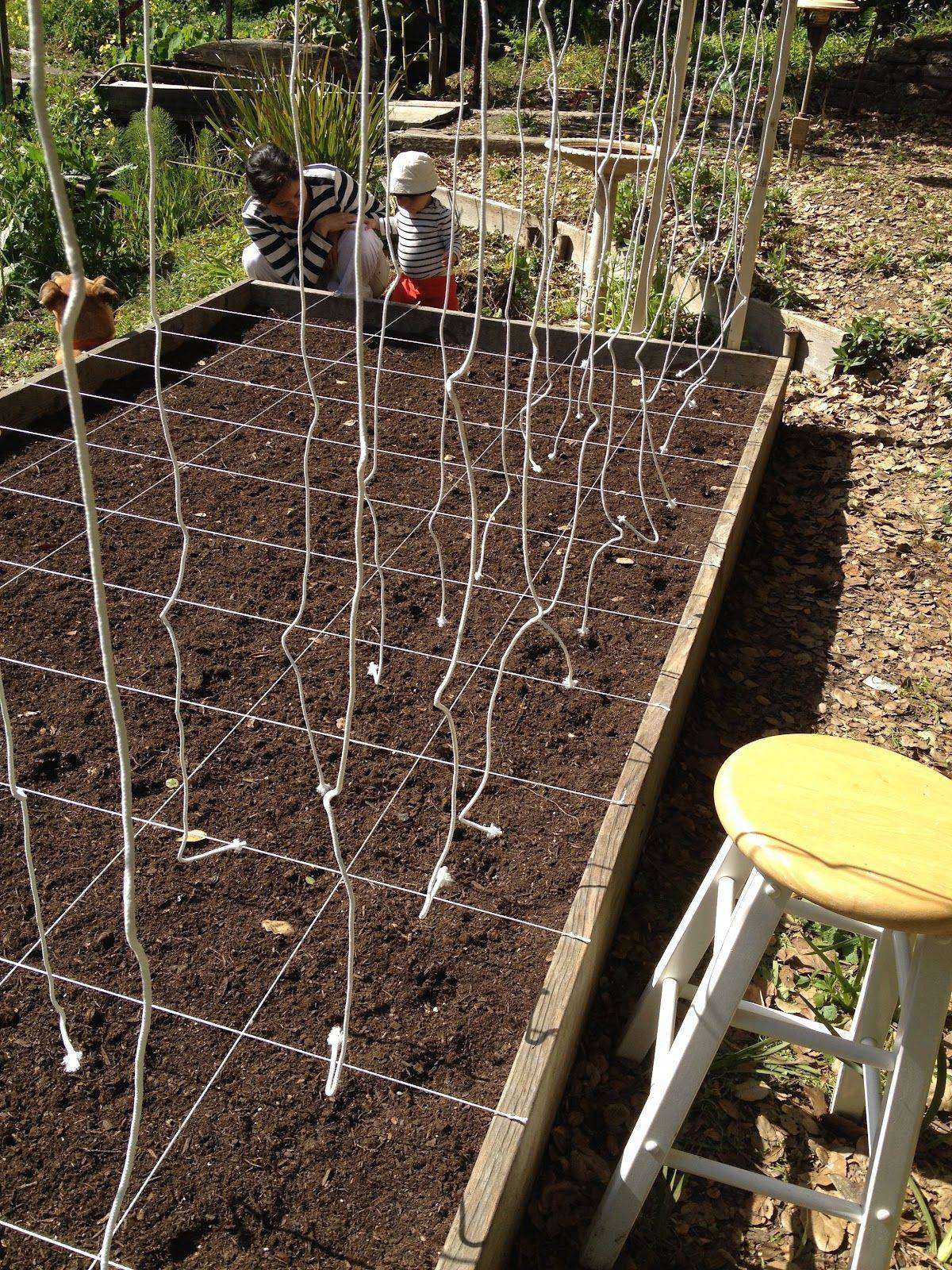 Spacing Method Tips Raised Garden