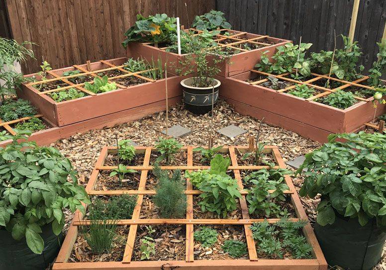 Square Foot Gardening Tips