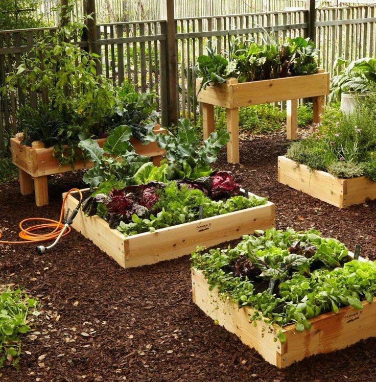 Inspiring Square Foot Gardening Plansideas