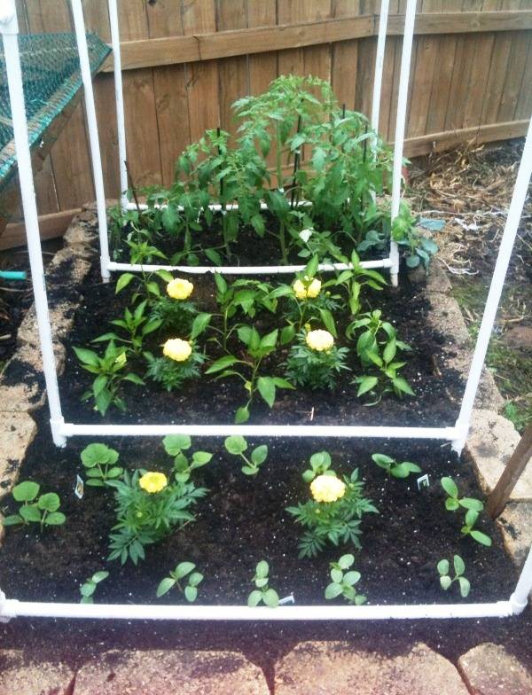 Square Foot Gardening