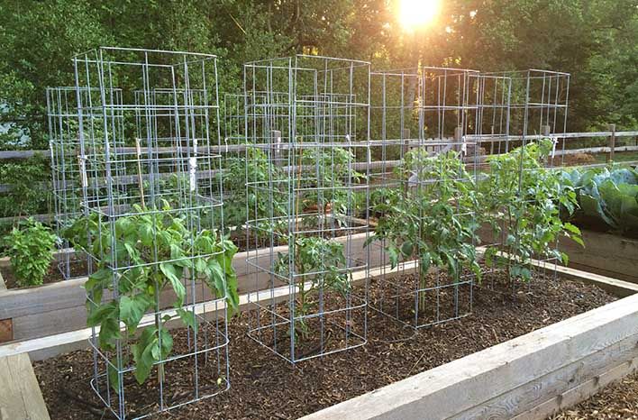 A Diy Drip Irrigation System