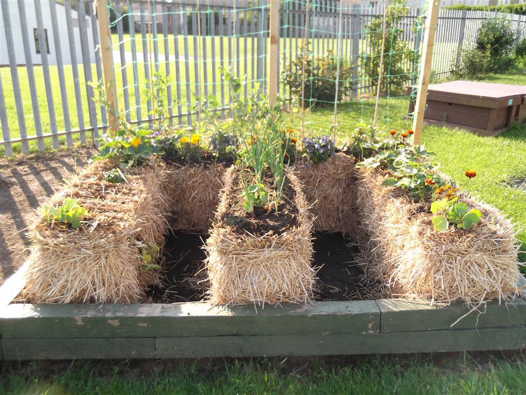 Square Foot Garden Planting