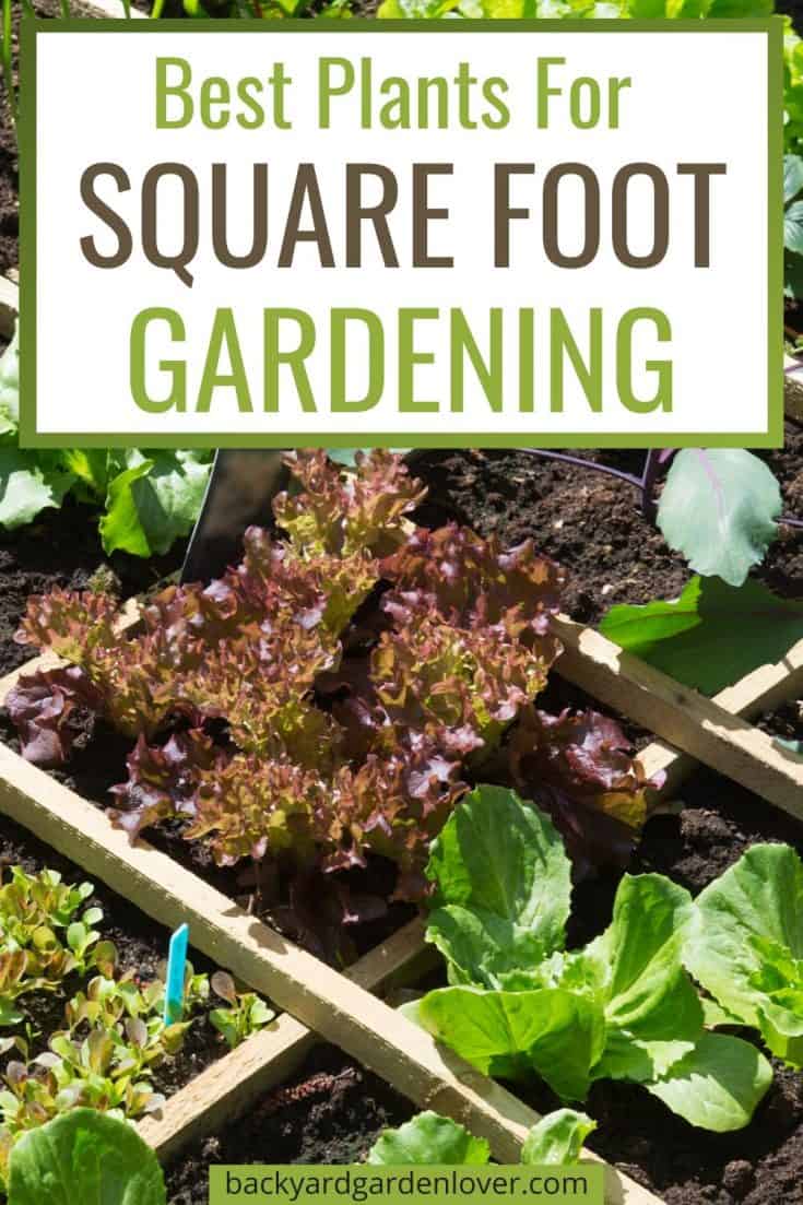 Square Foot Gardening