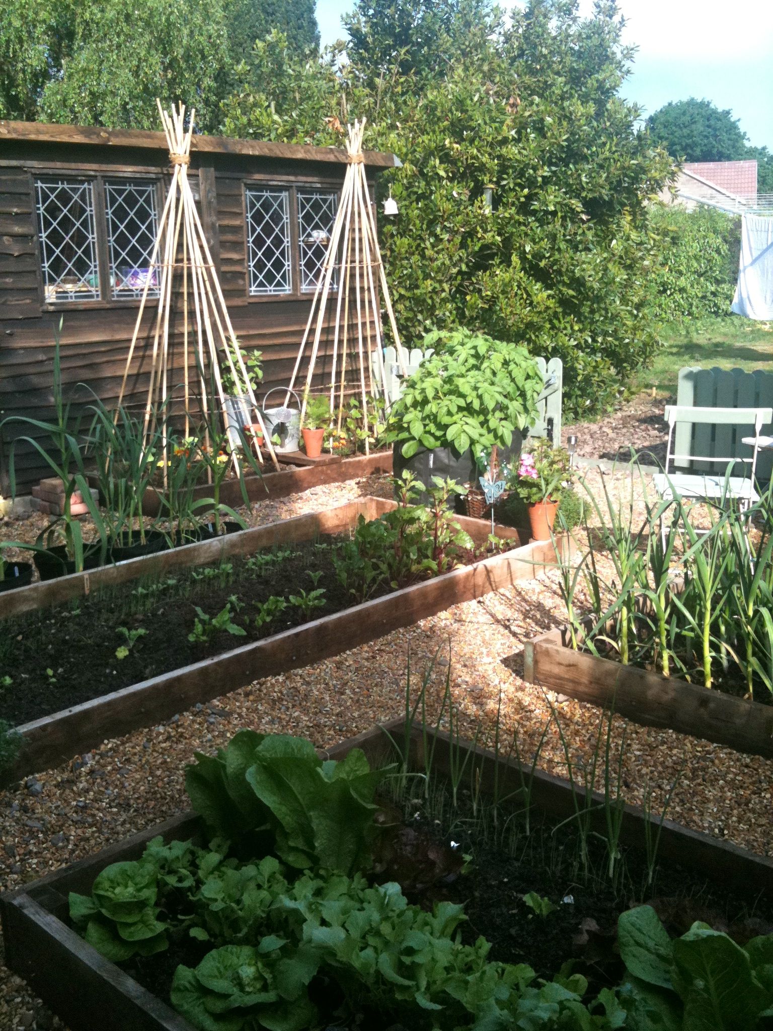 Vegetable Garden Ideas