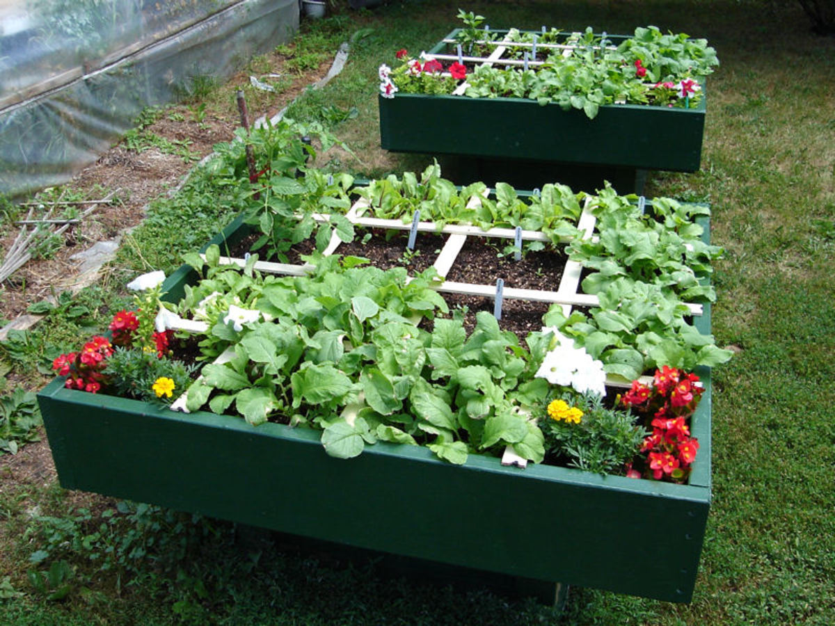 Spring Summer Vegetable Garden Plans