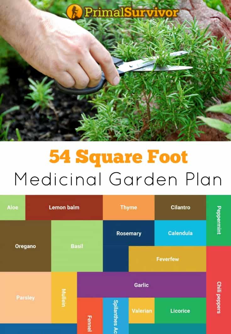 Tricks Square Foot Gardening