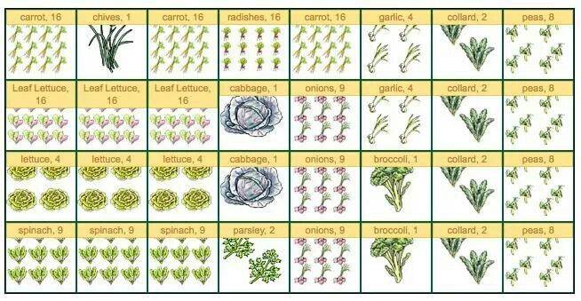 Square Foot Gardening Companion Planting Chart