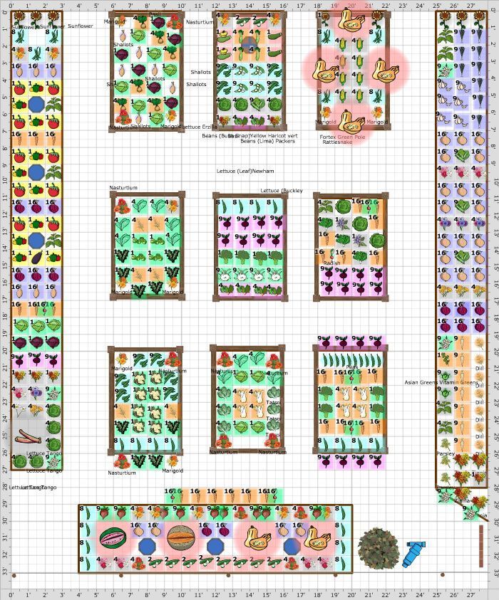 Vegetable Garden Layout