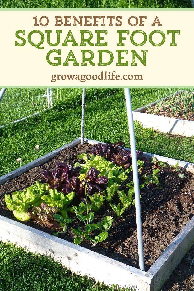 Square Foot Gardening