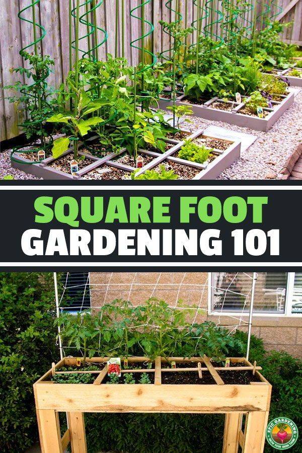 Square Foot Gardening Techniques
