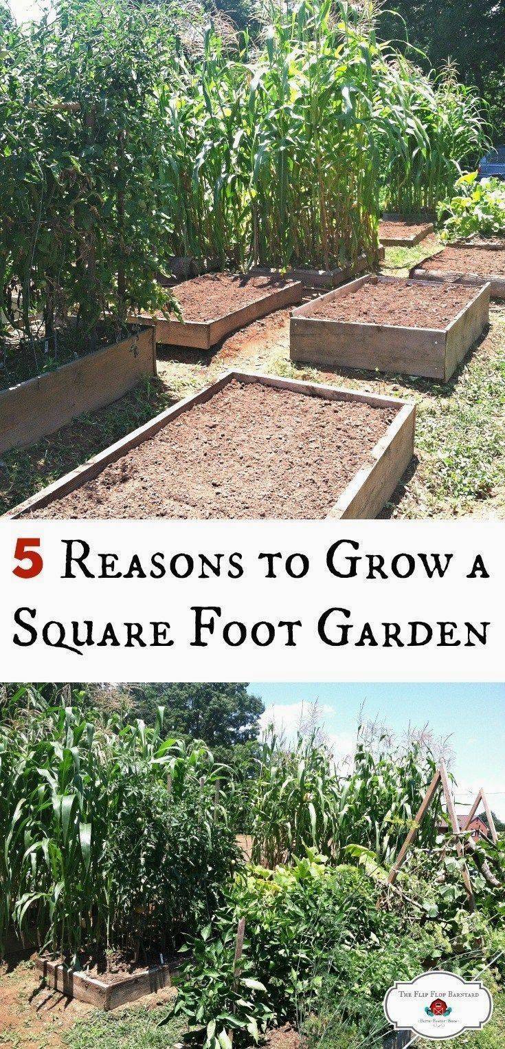 Square Foot Gardening