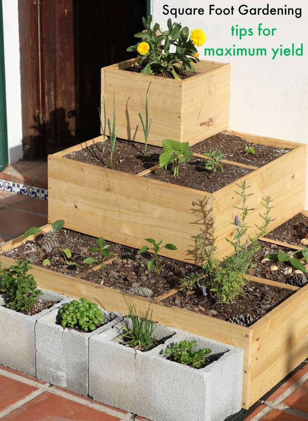 Square Foot Gardening Tips