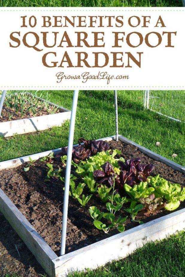 Beauty Epic Gardening
