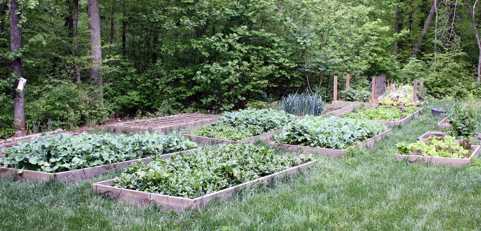 Dreaming Gardens