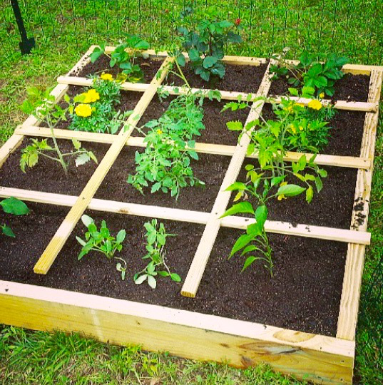 Home Square Foot Gardening