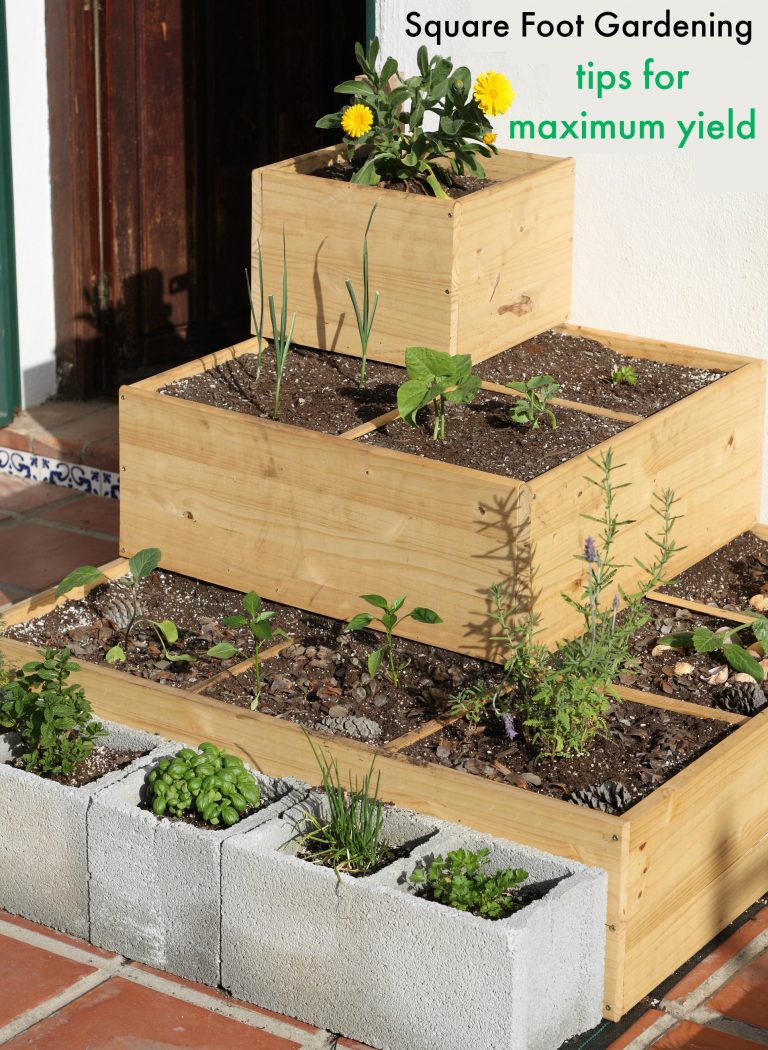 A Square Foot Garden
