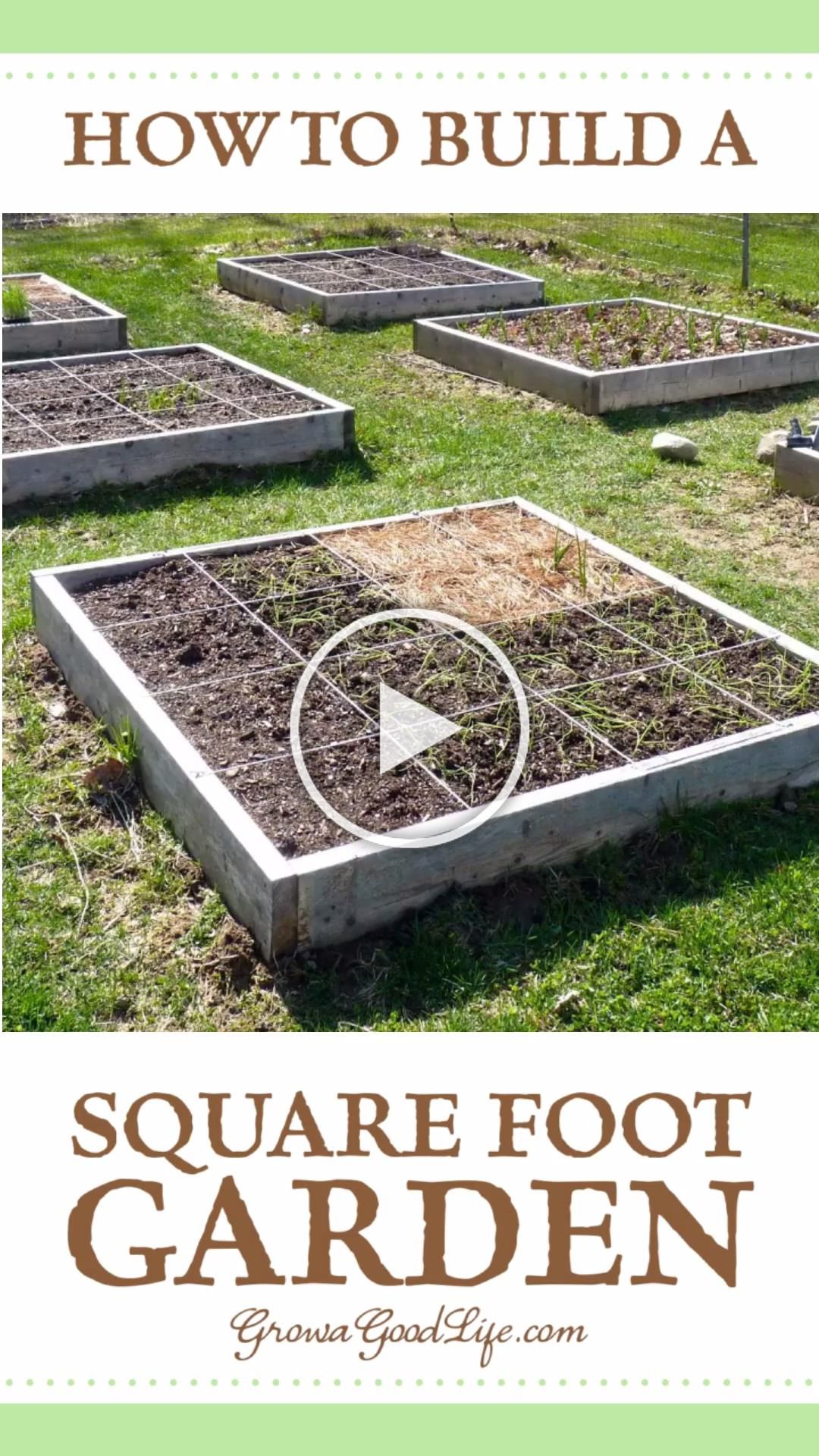 Square Foot Gardening Brussels Sprouts Garden