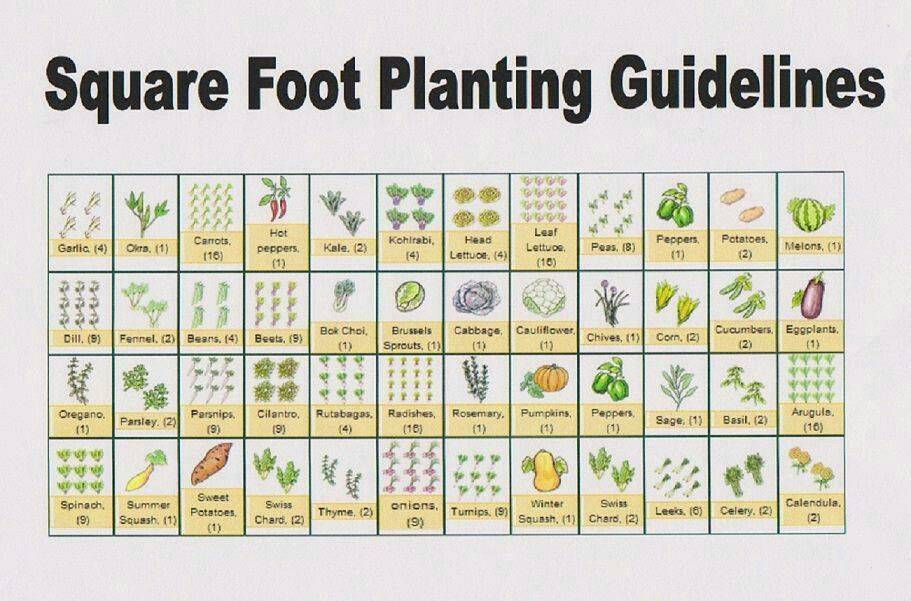 Square Foot Gardening