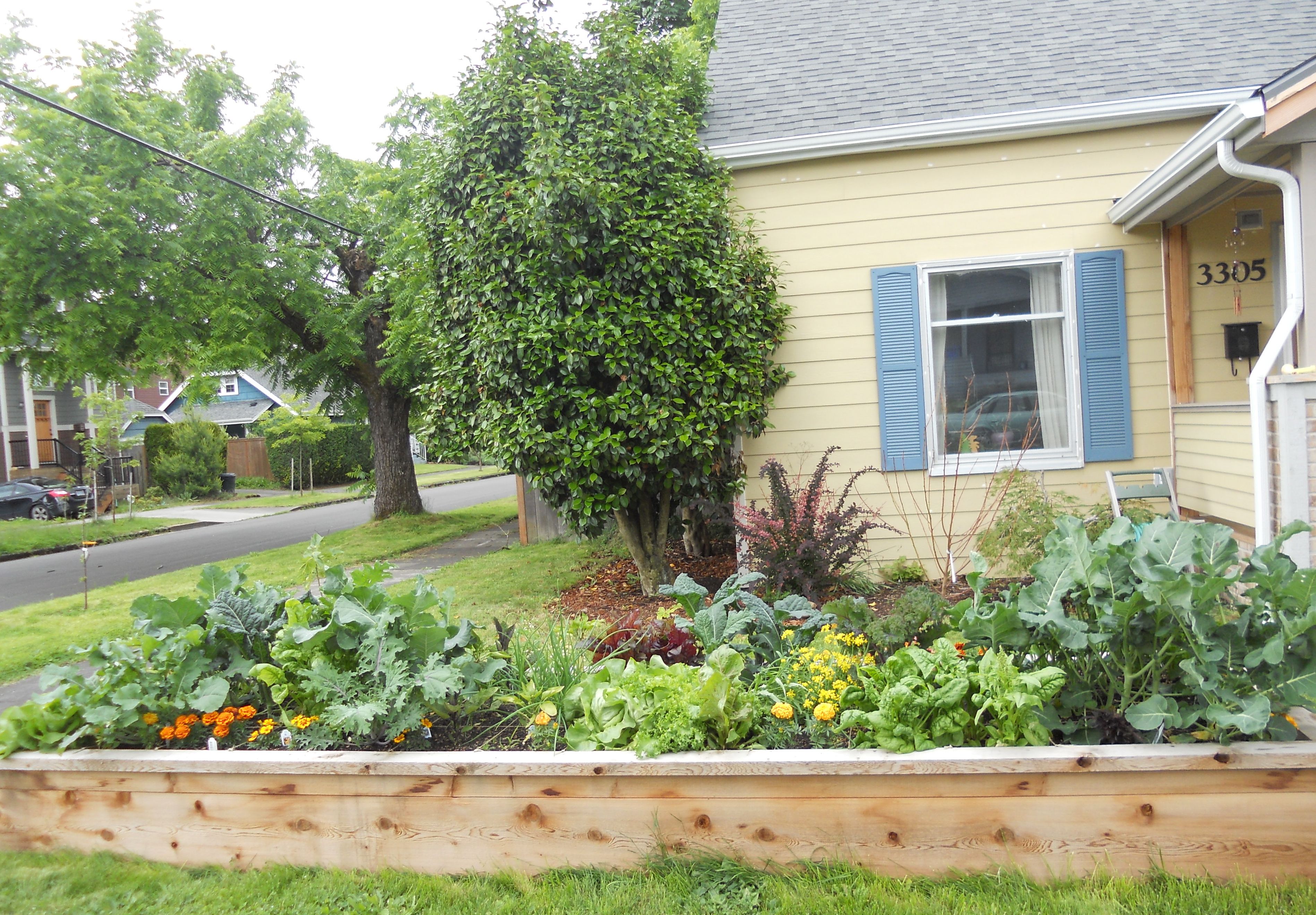 A Square Foot Salad Garden Video