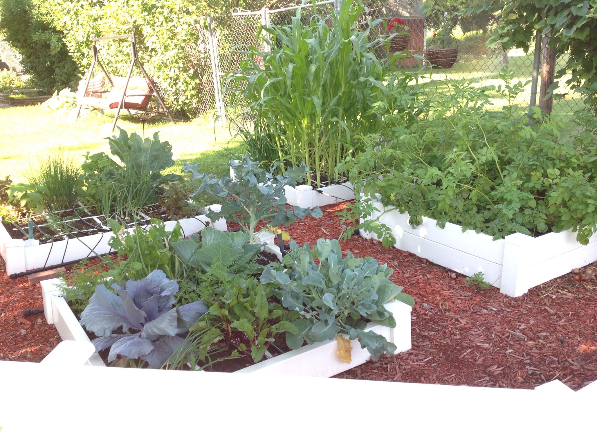 Square Foot Gardening Ideas