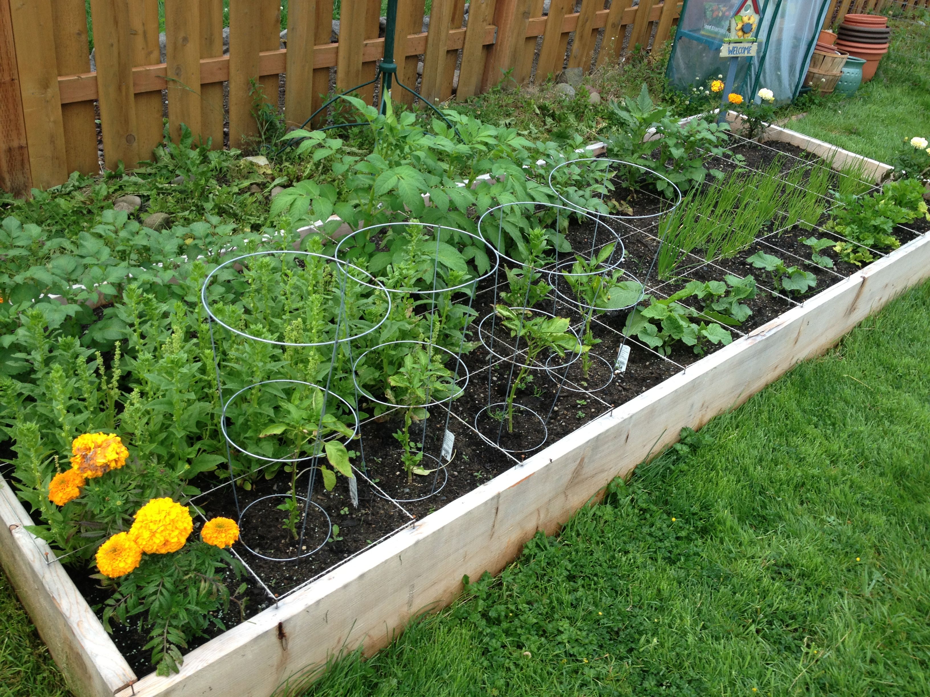 Square Foot Herb Garden Layout Outdoor Decor Ideas