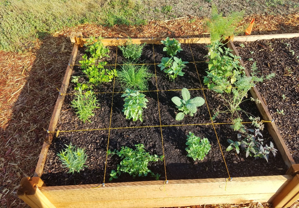 Square Foot Gardening