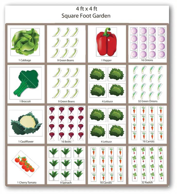 Square Foot Gardening Layout Ideas