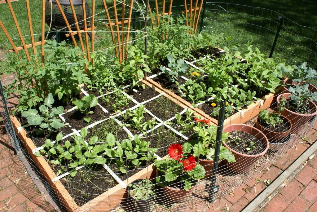 Square Foot Gardening Layout Plans