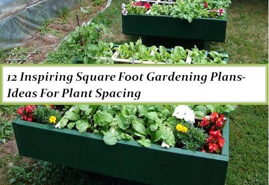 Square Foot Herb Garden Layout Outdoor Decor Ideas