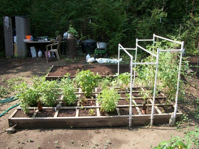 Square Foot Gardening