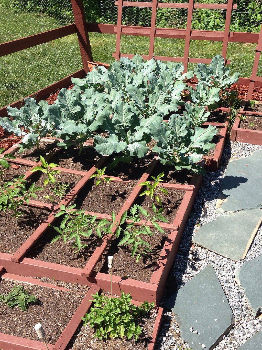 Awesome Square Foot Gardening