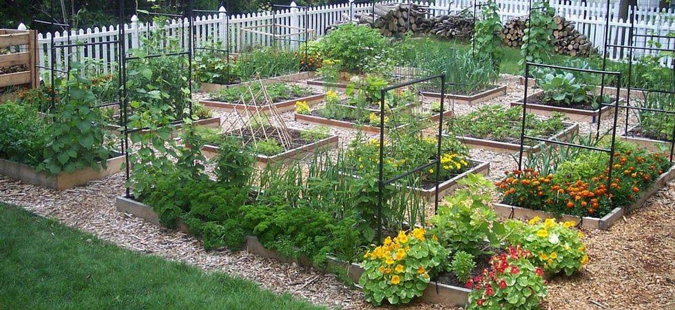 North Texas Square Foot Gardening Plan
