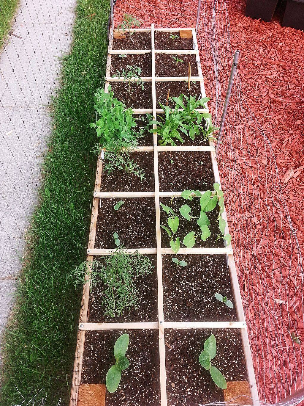 Image Garden Planning