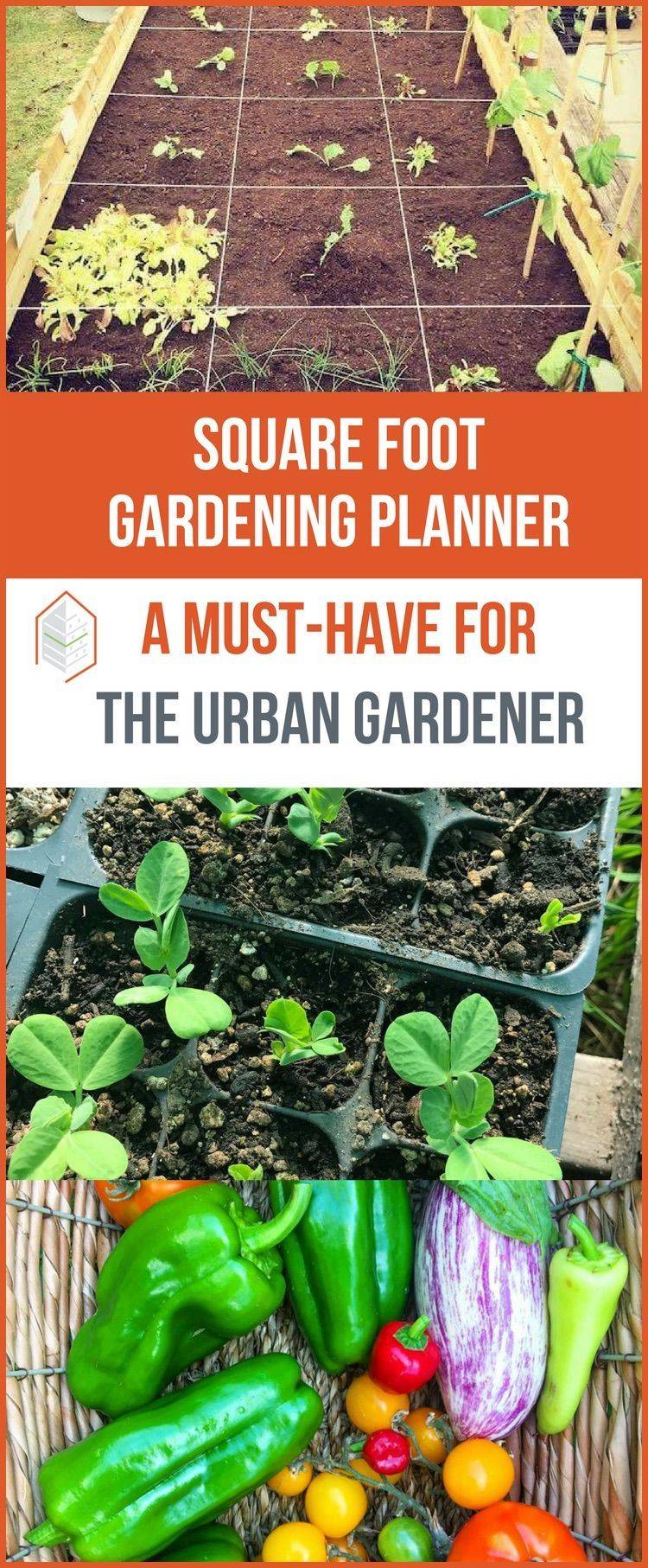 All New Square Foot Gardening Pdf Garden Design Ideas