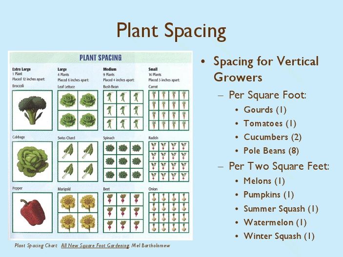 Square Footage Space Requirements